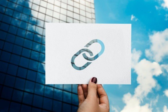 white label link building services